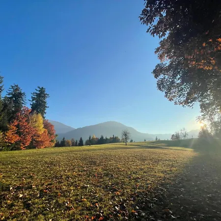 ホステル Youth Punkl