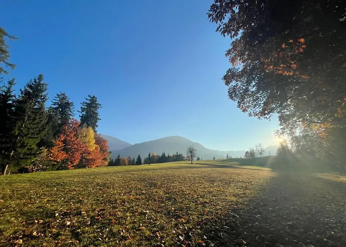 Vandrerhjem Youth Punkl